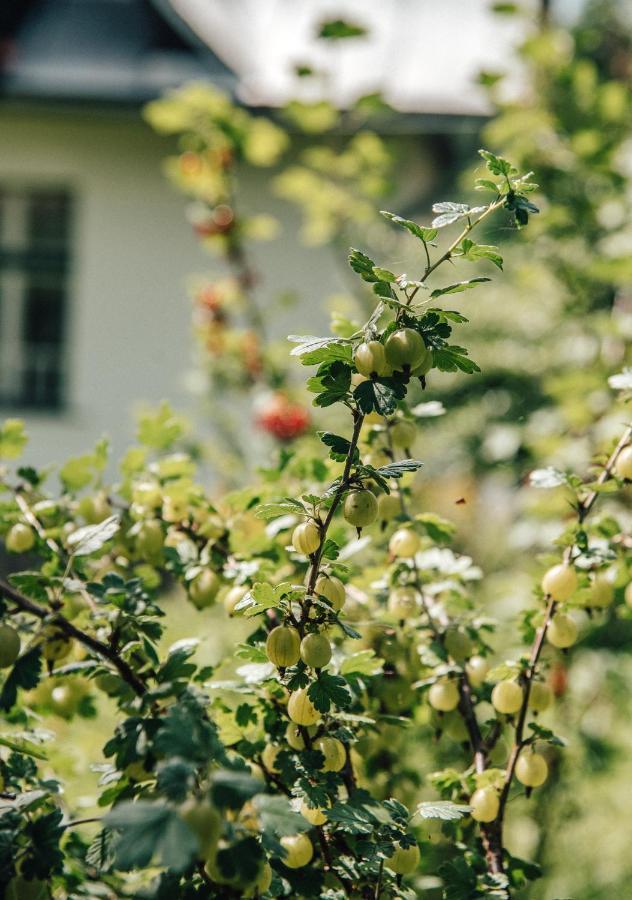Apartmány Rajschl - Železná Ruda Esterno foto